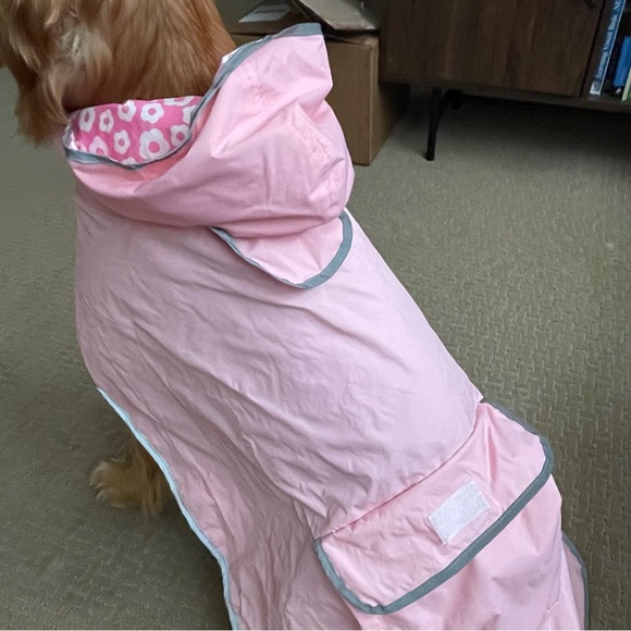 Dog raincoat - Picture 4 of 6
